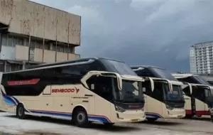 Mobil Pengantin Tips Memilih Bus untuk Pulang Kampung